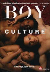 Boy Culture, DVD